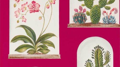 Terrariums 216657